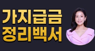 가지급금 정리백서